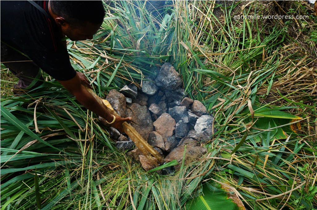 SENTANI_setelah cukup panas, batu yang dibakar dipindahkan ke lubang yang sudah dilapisi dedaunan.